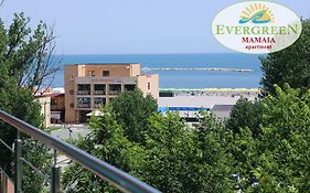 Evergreen Vlas Mamaia Sud